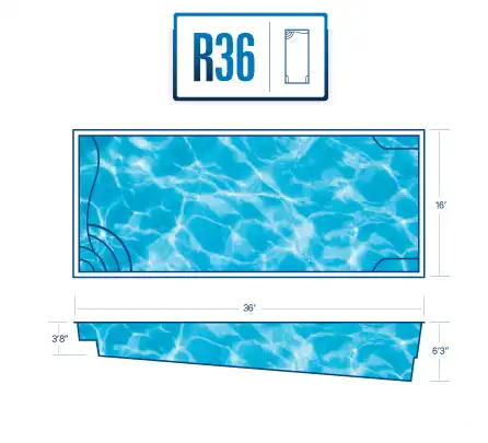 R36 Model