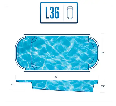 L36 Model